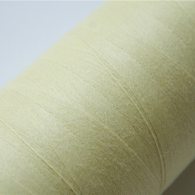 एप्रन सिलाई के लिए 60TEX पैरा Aramid सिलाई धागा